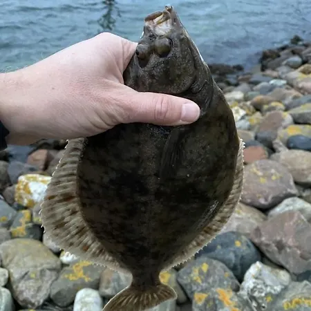 Lounge Maritime Direkt Am